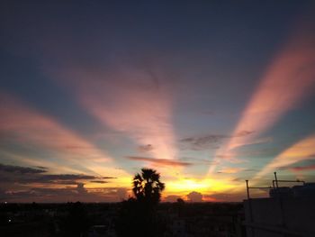 Silhouette trees and buildings against sky during sunset