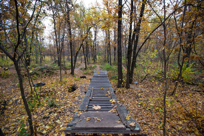 Wooden ramp in the forest