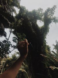 Low angle view of man against tree against sky