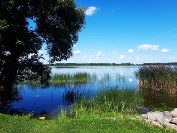 Scenic view of lake against blue sky