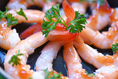 Close-up of fish in plate