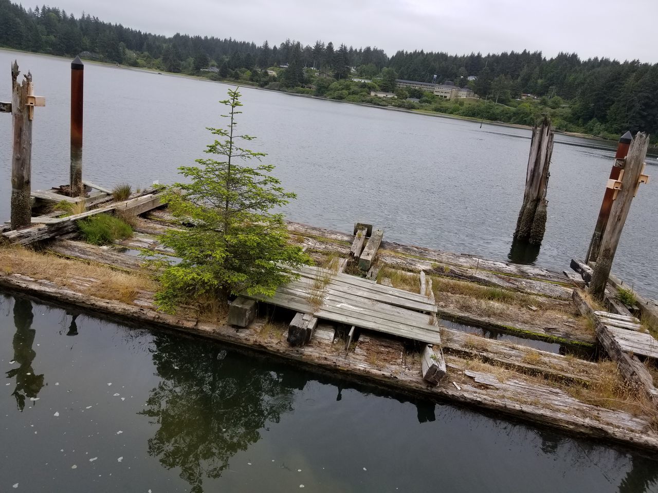 HIGH ANGLE VIEW OF LAKE AGAINST TREES