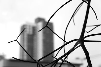 Close-up of basketball hoop against sky