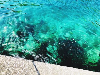 High angle view of swimming pool
