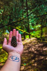 Close-up of hand holding leaf against blurred background