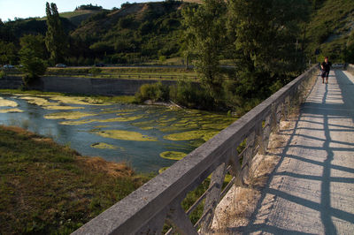 Footpath by river against trees