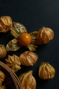 High angle view of pumpkins on table against black background