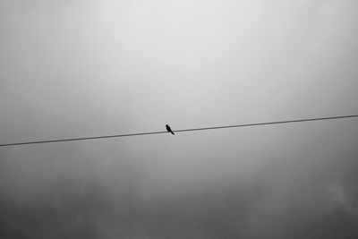 Low angle view of bird perching on cable against sky