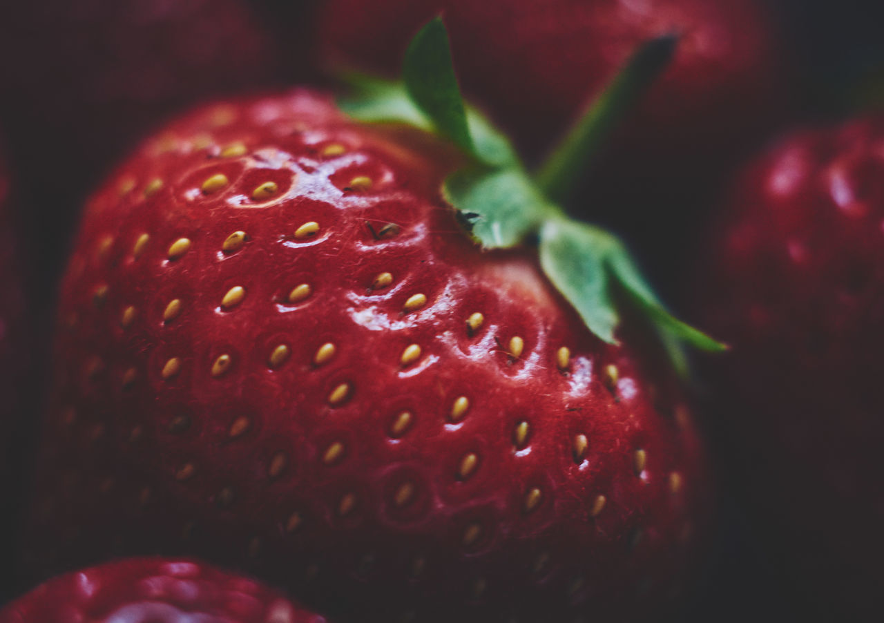 Strawberry macro