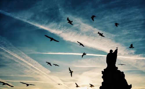 Low angle view of birds flying against sky