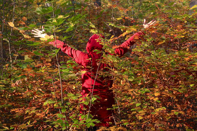 Red leaves on field