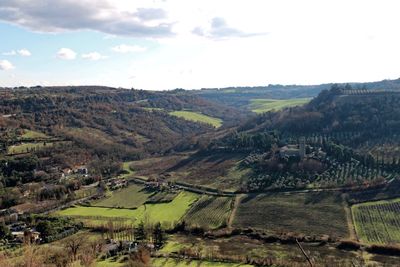 Scenic view of agricultural field against sky