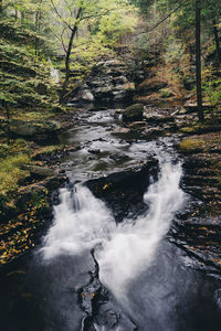 View of waterfall in forest