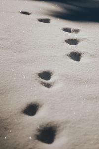 Full frame shot of snow