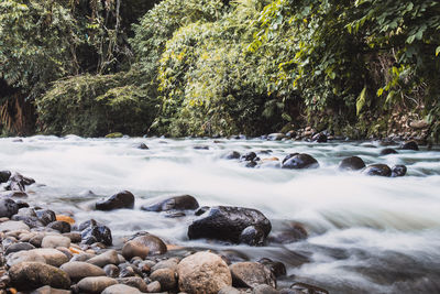 Stream flowing through rocks in forest