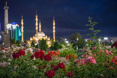 View of flowering plants against illuminated buildings at night