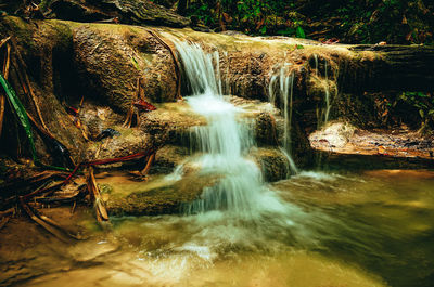 Scenic view of waterfall in forest