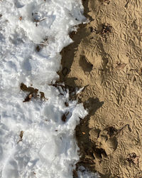 High angle view of snow on land