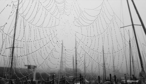 Close-up of wet spider web against sky