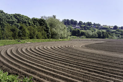 Scenic view of field against clear sky