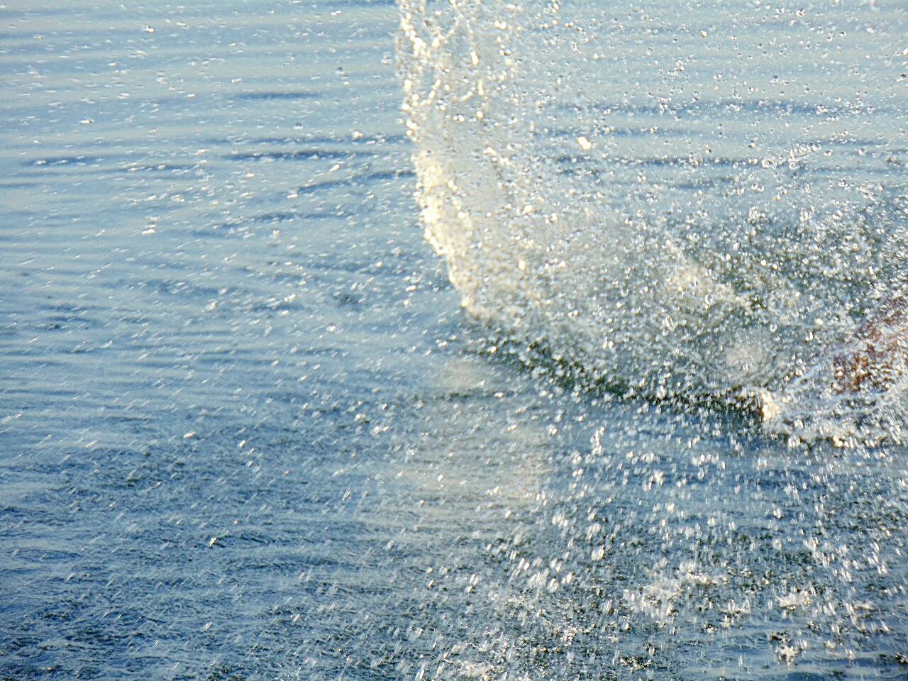 water, sea, splashing, wave, surf, waterfront, motion, rippled, nature, beauty in nature, beach, tranquility, shore, scenics, day, sunlight, ice, outdoors, tranquil scene, no people