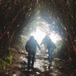 Rear view of friends walking in forest