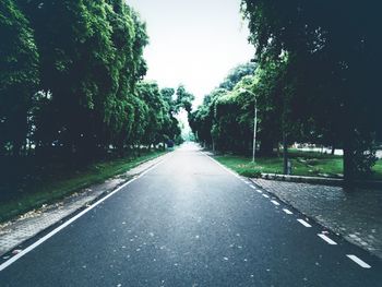 Empty road along trees