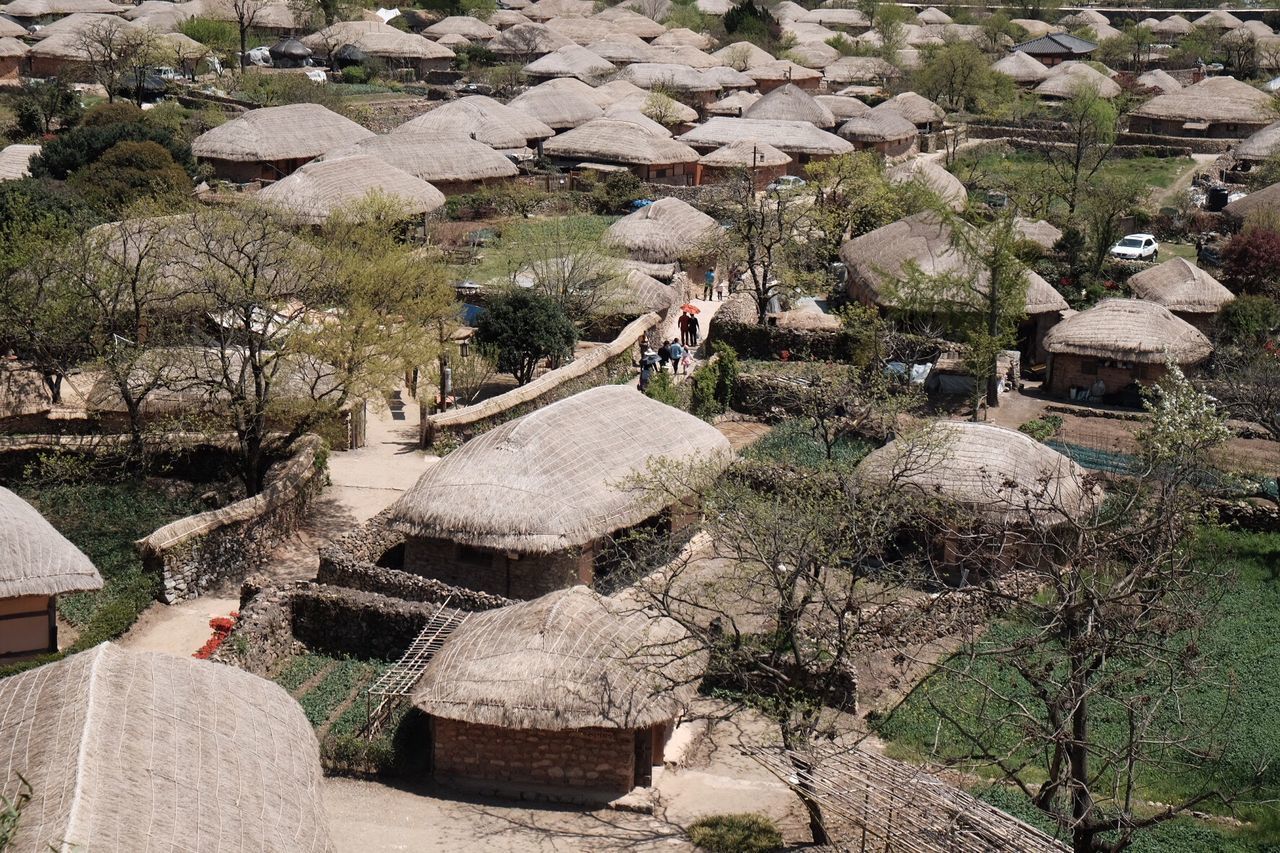 HIGH ANGLE VIEW OF PEOPLE ON ROCK BY TREE