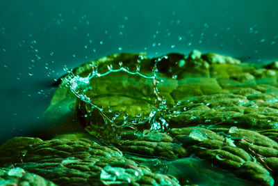 Close-up of water