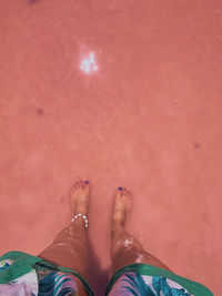 Low section of person standing on beach