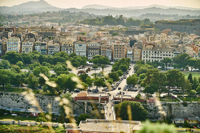 Cityscape against trees