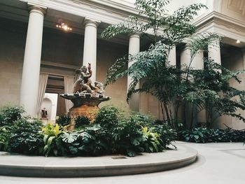 Potted plants outside building