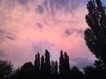 Low angle view of silhouette trees against sky during sunset