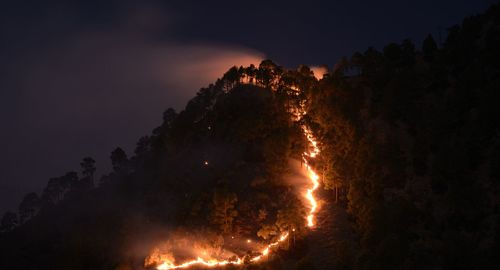 Forest fire against sky at night