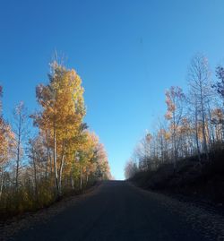 Road amidst trees against clear blue sky