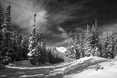 Scenic view of cloudy sky