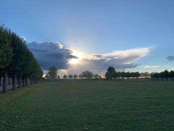 Scenic view of field against sky