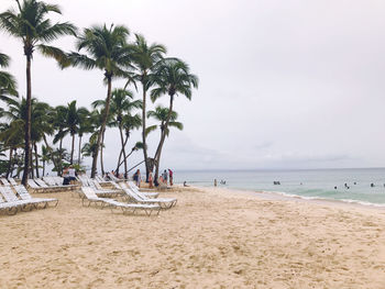 Palm trees on beach against sky