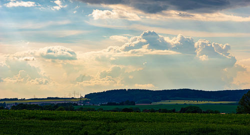 Scenic view of agricultural field against sky during sunset