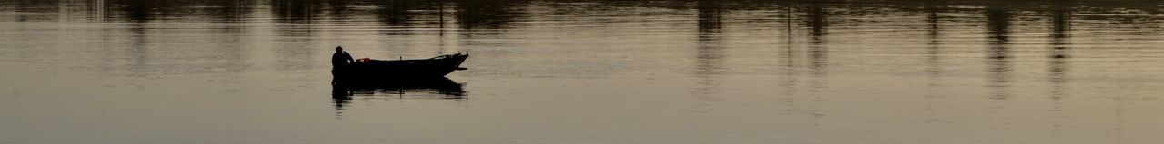Dog swimming in lake