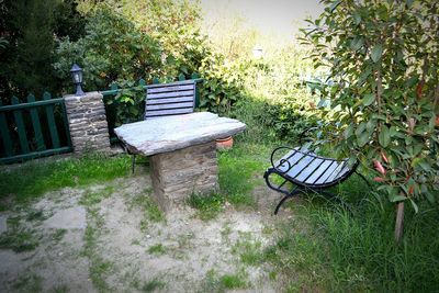 Empty bench in backyard