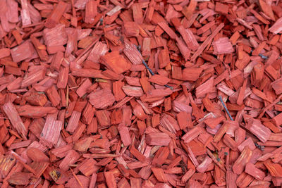 Shredded red wood chips fragments as red woodpath with timber shavings and recycled