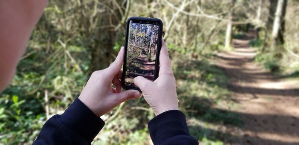 Cropped image of person photographing trees in forest