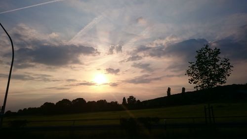 Silhouette trees on field against sky at sunset