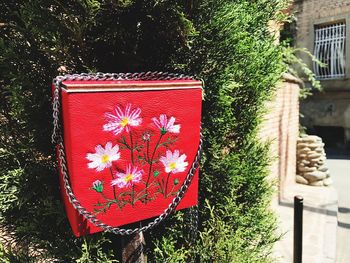 Close-up of red flower on tree