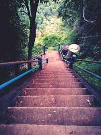 Footbridge in forest