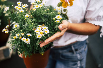 Midsection of woman holding flower pot