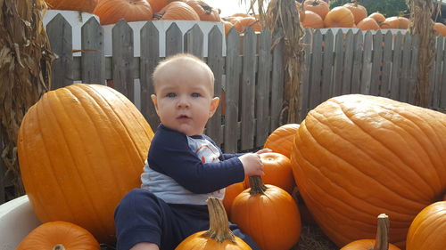 Portrait of cute baby boy sitting in pumpkin patch