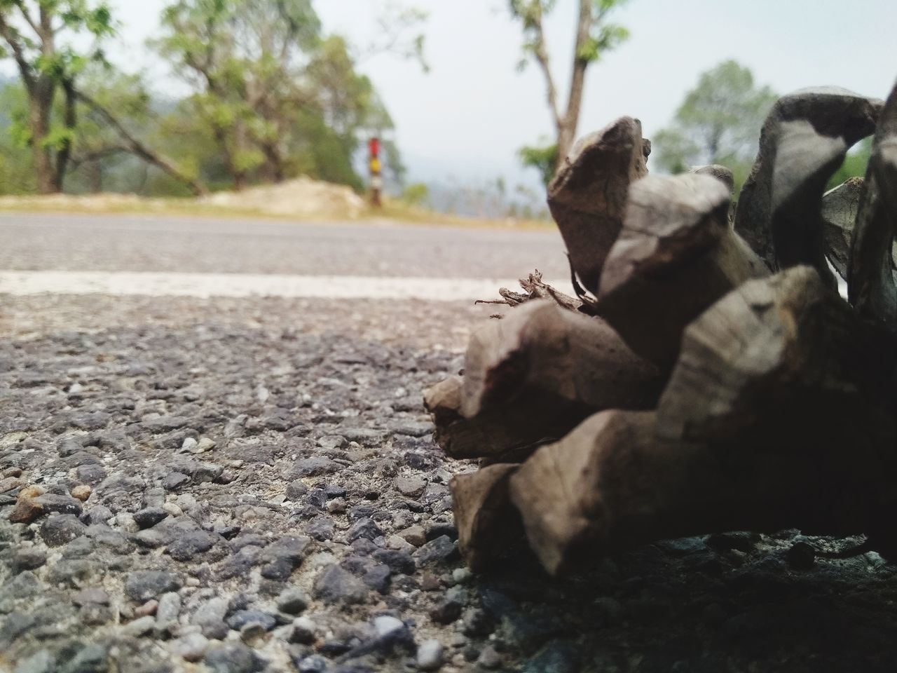 CLOSE-UP OF ROCKS ON ROAD