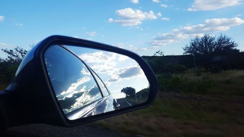 Reflection of trees in side-view mirror